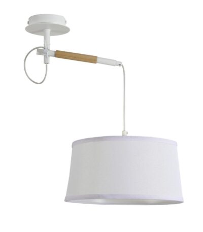 Настенно-потолочный светильник F-Promo Eureka 3005-1P