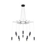 Подвесная люстра Maytoni Davida MOD035PL-12B