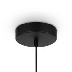 Подвесной светильник Maytoni Roots MOD193PL-01W