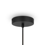 Подвесной светильник Maytoni Roots MOD197PL-01W