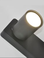 Спот Elvan NLS-2410/2-G10-Bk