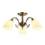 Люстра на штанге Myfar Biene MR1522-3C