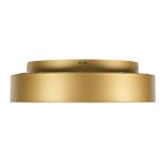 Потолочный светильник Myfar Shannon MR2195-1PL