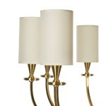 Люстра на штанге Myfar Oliver MR2420-10P