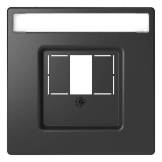 Накладка Schneider Electric Merten D-Life MTN4250-6034