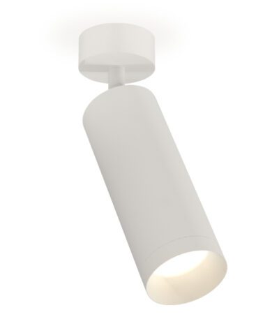 Накладной поворотный светильник Ambrella Light Techno XM6342001 (A2202, C6342, N6130)