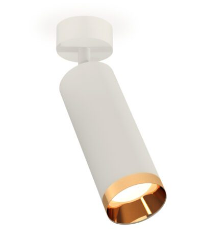 Накладной поворотный светильник Ambrella Light Techno XM6342005 (A2202, C6342, N6134)