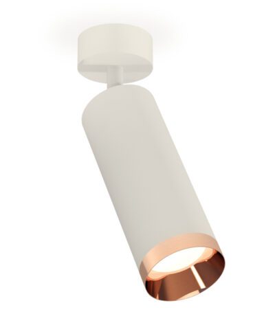 Накладной поворотный светильник Ambrella Light Techno XM6342006 (A2202, C6342, N6135)