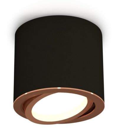 Накладной поворотный светильник Ambrella Light Techno XS7402004 (C7402, N7005)