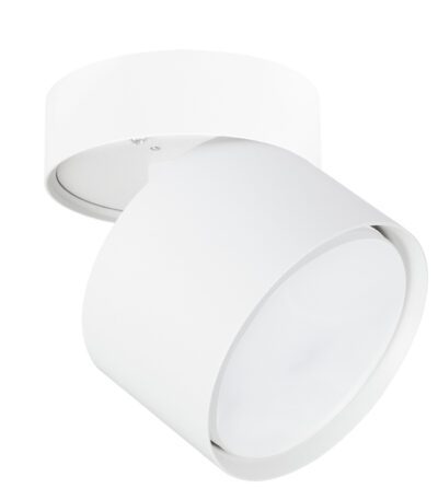 Накладной спот Arte Lamp Intercrus A5549PL-1WH