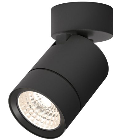 Накладной спот Elektrostandard Niro 4690389203268 25013/01 a065463