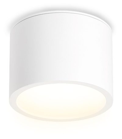 Накладной светильник Ambrella Light IP Protect TN6550