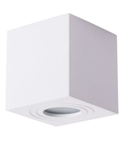 Накладной светильник ARTE Lamp A1461PL-1WH