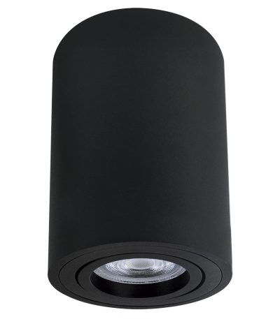 Накладной светильник Arte Lamp Sentry A1566PL-1BK