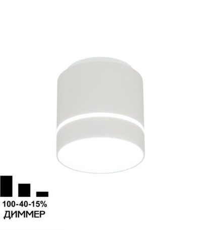 Накладной светильник Citilux Борн CL745010N