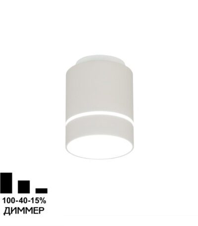 Накладной светильник Citilux Борн CL745020N