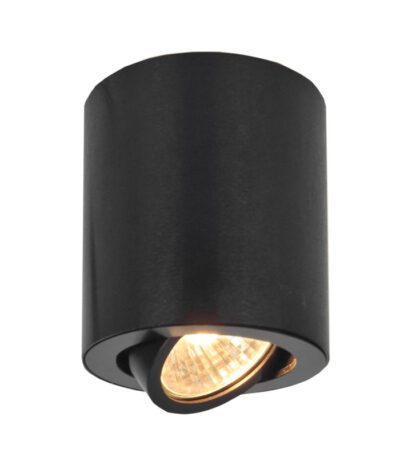 Накладной светильник Citilux Дюрен CL538113