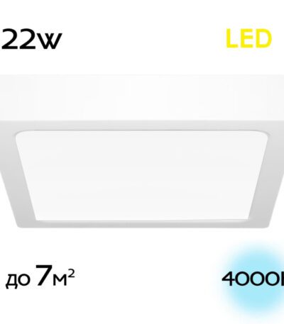 Накладной светильник Citilux Галс CL55K22N