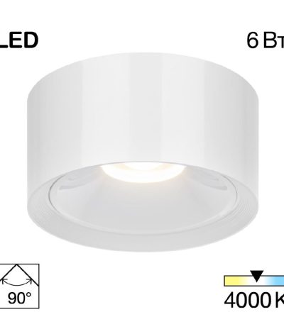 Накладной светильник Citilux Rover CL743060N