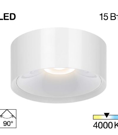 Накладной светильник Citilux Rover CL743150N
