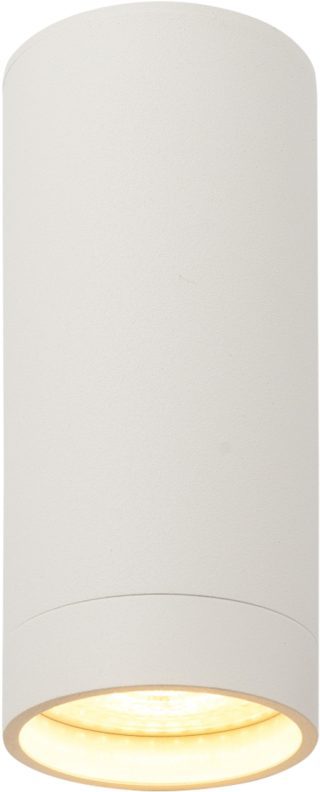 Накладной светильник Denkirs DK2051-WH