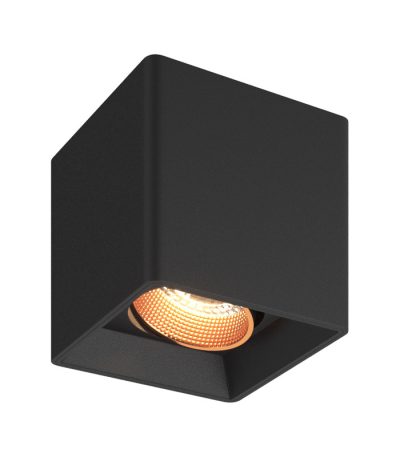 Накладной светильник Denkirs Dk3030 DK3080-BBR