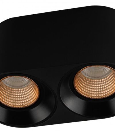 Накладной светильник Denkirs DK3096-BK+BR