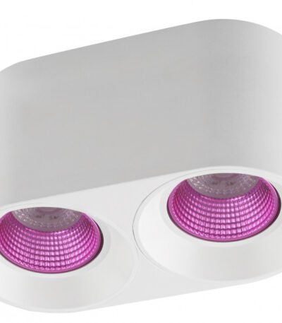 Накладной светильник Denkirs DK3096-WH+PI