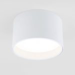 Накладной светильник Elektrostandard Banti 4690389196737 a063927