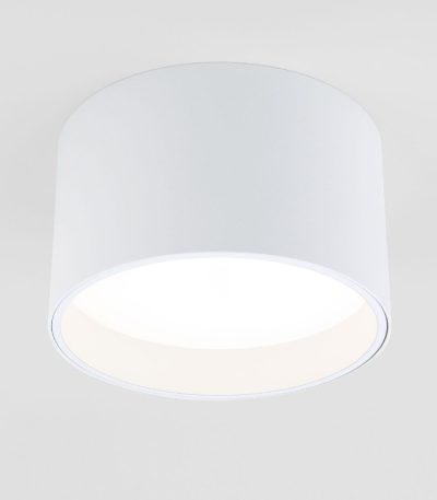 Накладной светильник Elektrostandard Banti 4690389196737 a063927