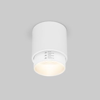 Накладной светильник Elektrostandard Cors 4690389192173 a062385