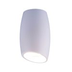 Накладной светильник Elektrostandard DLN002 MR16 WH белый 4690389144974 a046058