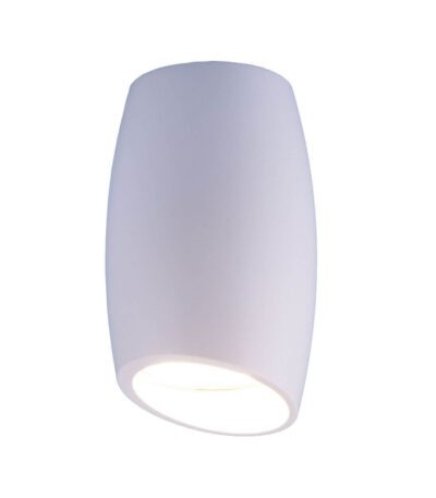 Накладной светильник Elektrostandard DLN002 MR16 WH белый 4690389144974 a046058