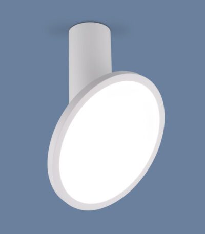 Накладной светильник Elektrostandard DLS029 12W 4200K белый матовый