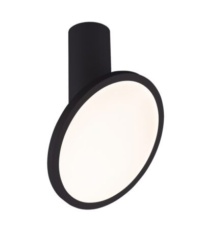 Накладной светильник Elektrostandard DLS029 12W 4200K черный матовый