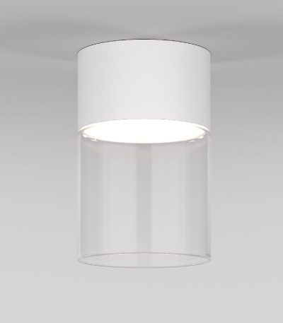 Накладной светильник Elektrostandard Lumen 4690389200007 a064710