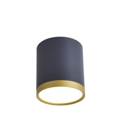 Накладной светильник Favourite Baral 3081-1C