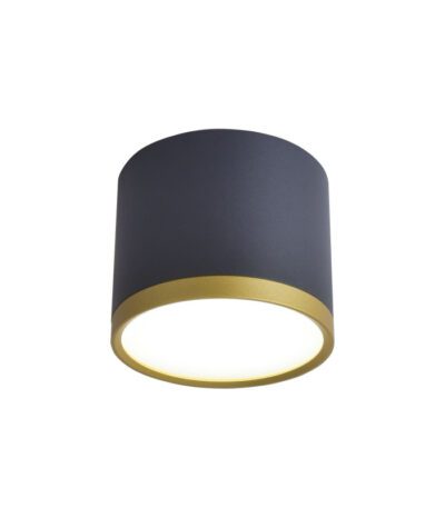 Накладной светильник Favourite Baral 3081-2C