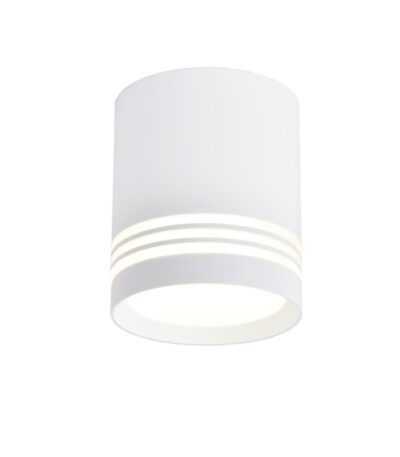 Накладной светильник Favourite Darar 3065-1C