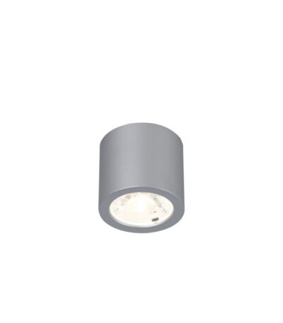 Накладной светильник Favourite Deorsum 2808-1C