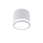 Накладной светильник Favourite Festum 4213-1C