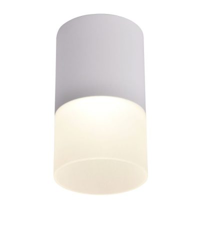 Накладной светильник Favourite Naram 3069-1C