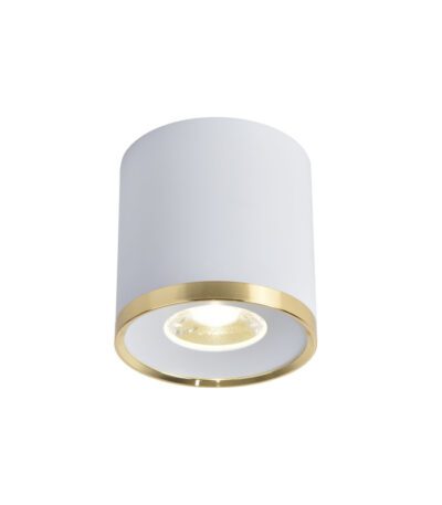 Накладной светильник Favourite Prakash 3085-2C