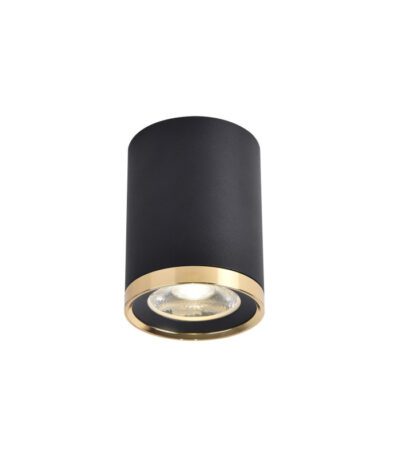 Накладной светильник Favourite Prakash 3086-1C