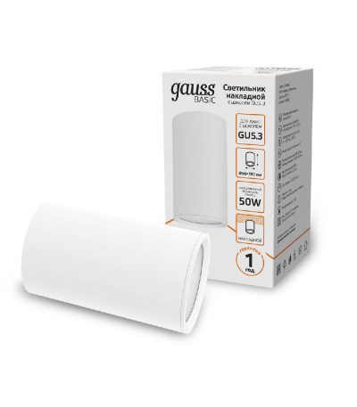 Накладной светильник Gauss Basic HD062