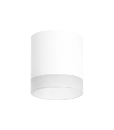 Накладной светильник Lightstar Rullo (213486+202480) R348680