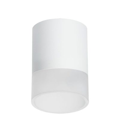 Накладной светильник Lightstar Rullo (213486+202481) R348681