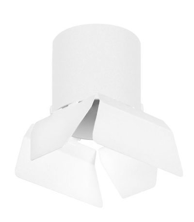 Накладной светильник Lightstar Rullo (213486+202486) R3486486