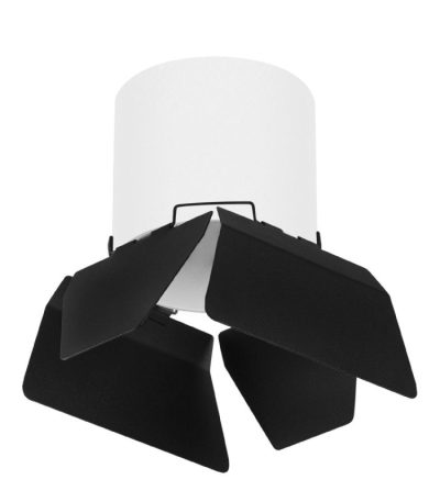 Накладной светильник Lightstar Rullo (213486+202487) R3486487