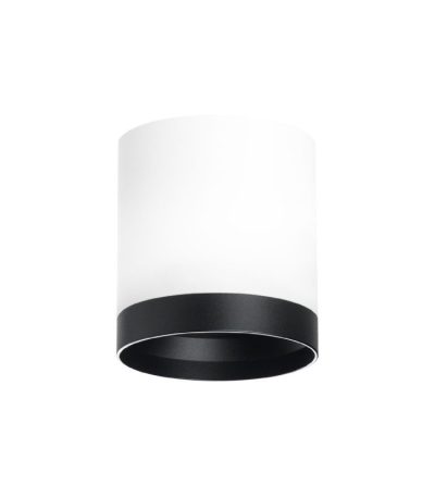 Накладной светильник Lightstar Rullo (213486+203487) R34863487